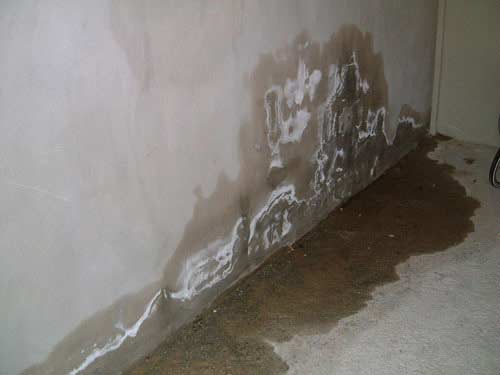 1 Một số biện pháp xử lý chống thấm tạm thời cho tường nhà