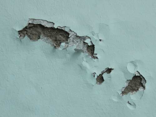 Giải quyết sơn tường bị bong tróc: Sơn tường bị bong tróc làm cho ngôi nhà trở nên xấu xí và không gian sống của bạn trở nên không thoải mái. Chúng tôi có giải pháp để giải quyết vấn đề này một cách dễ dàng và hiệu quả. Hãy xem hình ảnh để tìm hiểu thêm.